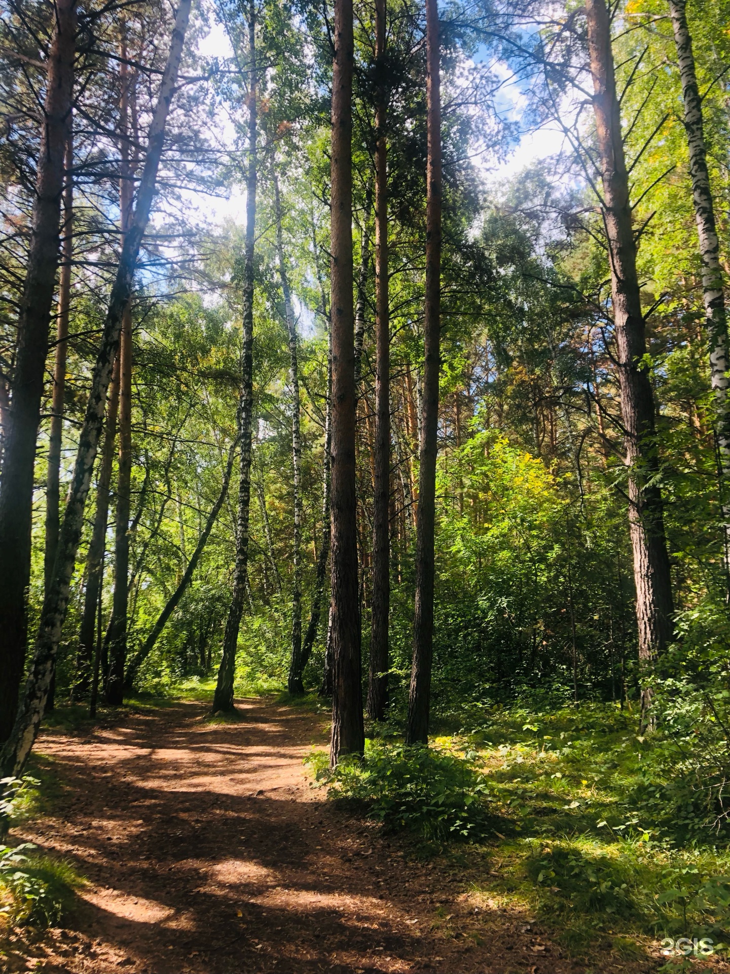 На камнях, база отдыха, Зелёная Роща, 15а, Бердск — 2ГИС