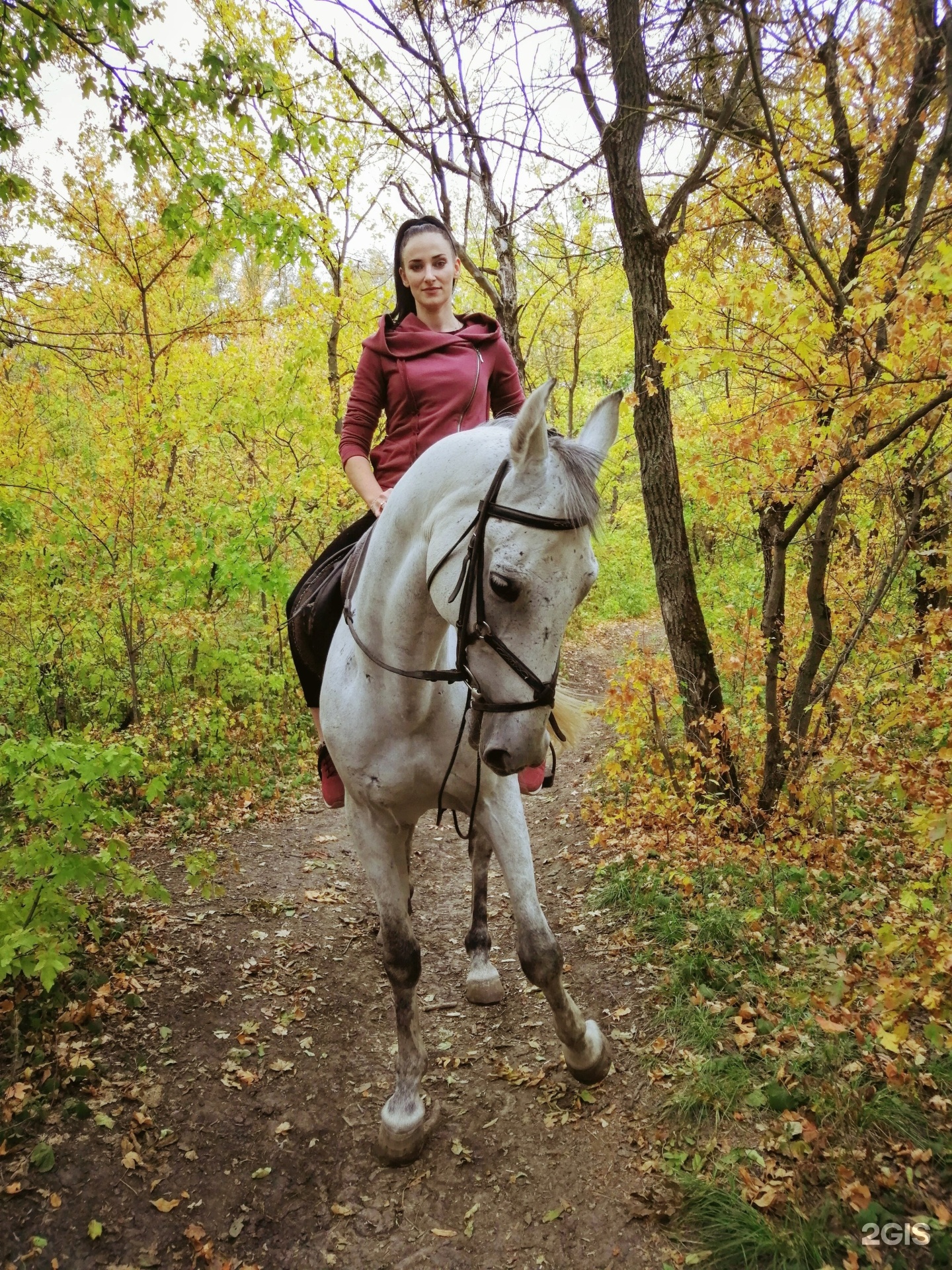 Horse travel, конный клуб, Революционная, 164, Ростов-на-Дону — 2ГИС