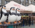 Центральная: отзыв от Zima