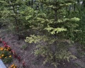 Трава: отзыв от Анна Головачёва