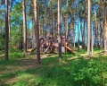 Pioneer Resort Hotel: отзыв от Городской житель