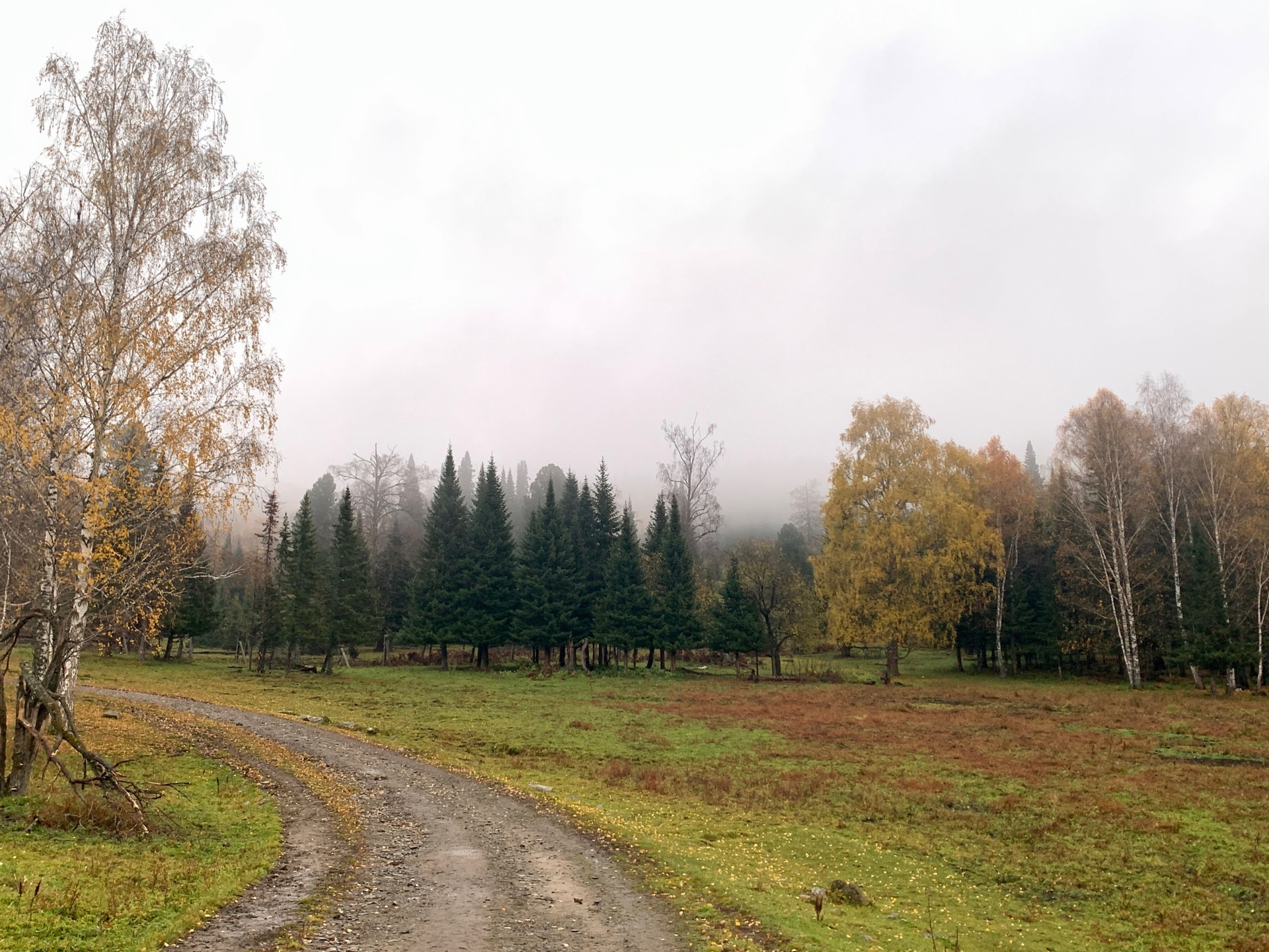 Cosmos Collection Altay Resort, курортный комплекс, Алтай Резорт,  Конгресс-центр, с. Урлу-Аспак — 2ГИС