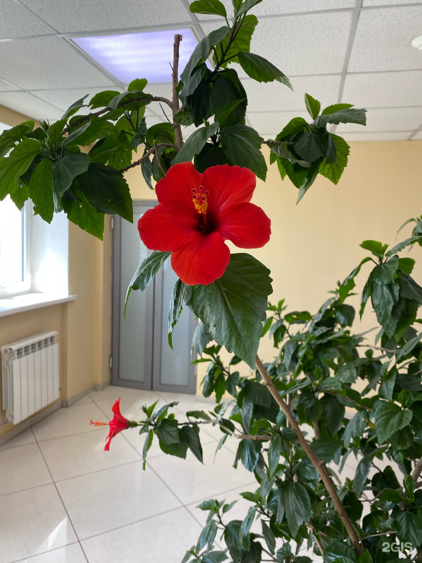 Жігіттер эротикалық секс