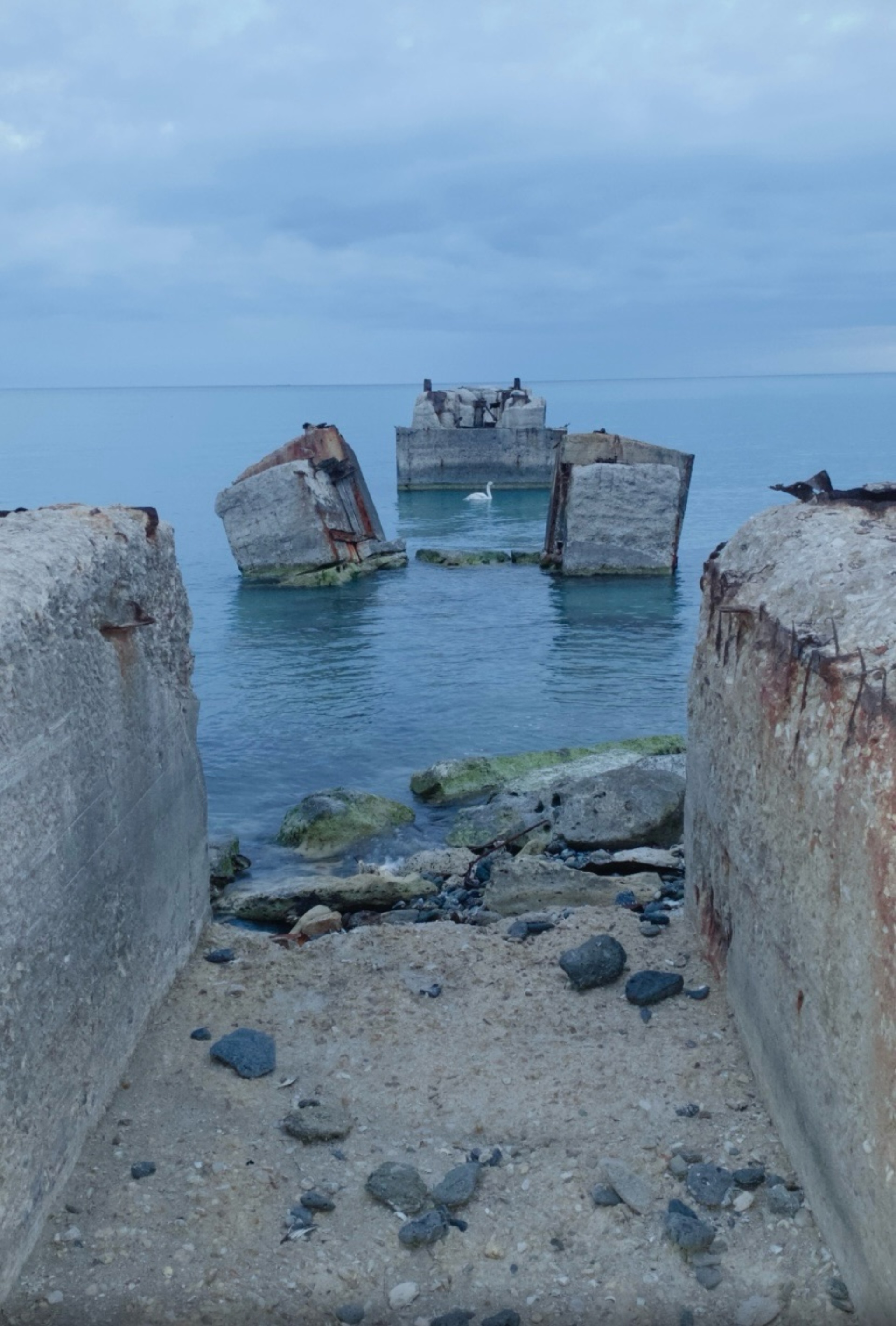 Орыс үйдегі секс аға мен қарындас сериясы онлайн