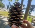 PortoRitsa: отзыв от Марина Ситникова