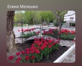 Дубрава: отзыв от Елена Мелешко