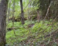 Котопельто: отзыв от Мария Кулаковская