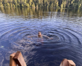 Котопельто: отзыв от Николай Казанцев