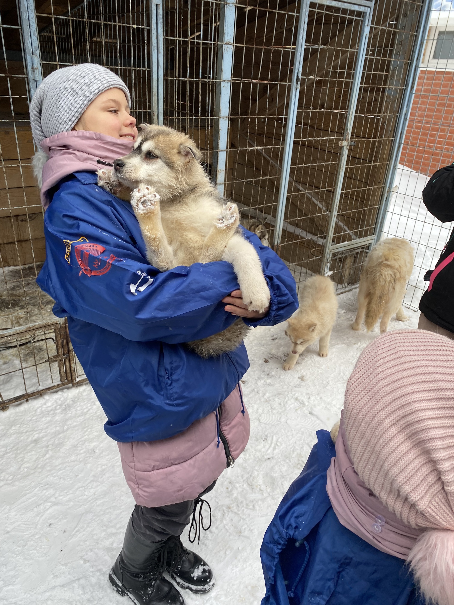 Алтайский центр ездового спортa, питомник сибирских хаски, Центральная, 87,  с. Лебяжье — 2ГИС