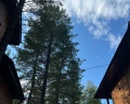 Village Hvoya: отзыв от Городской житель