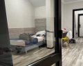 Аммонит: отзыв от Елена Шатеева
