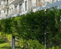 Город Mira Family Resort&SPA: отзыв от Карина Федина