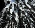 Шалаш: отзыв от Кате Рина