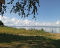 Holidays Forest: отзыв от Яна .