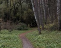 Ботанический сад Академгородка: отзыв от Полина Сонхуновна