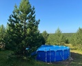 Брусника : отзыв от Валентина Вяткина