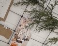 Villa scandi: отзыв от Elena Zykina