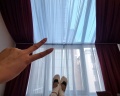 Red stars hotel: отзыв от Чойгана Амарда