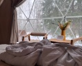 Loko Glamp: отзыв от Polina G