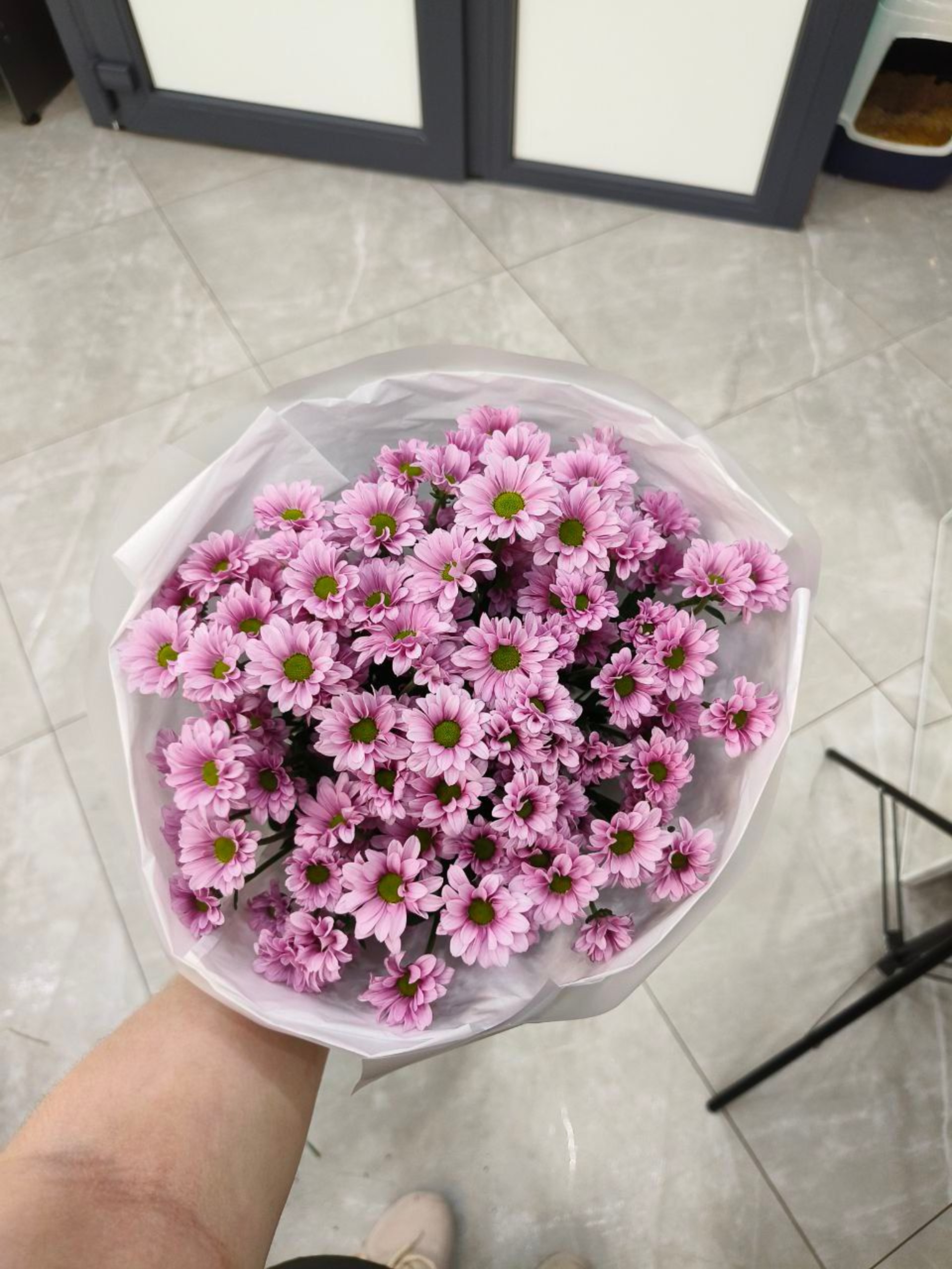 As flowers, Урицкого, 2, Архангельск — 2ГИС