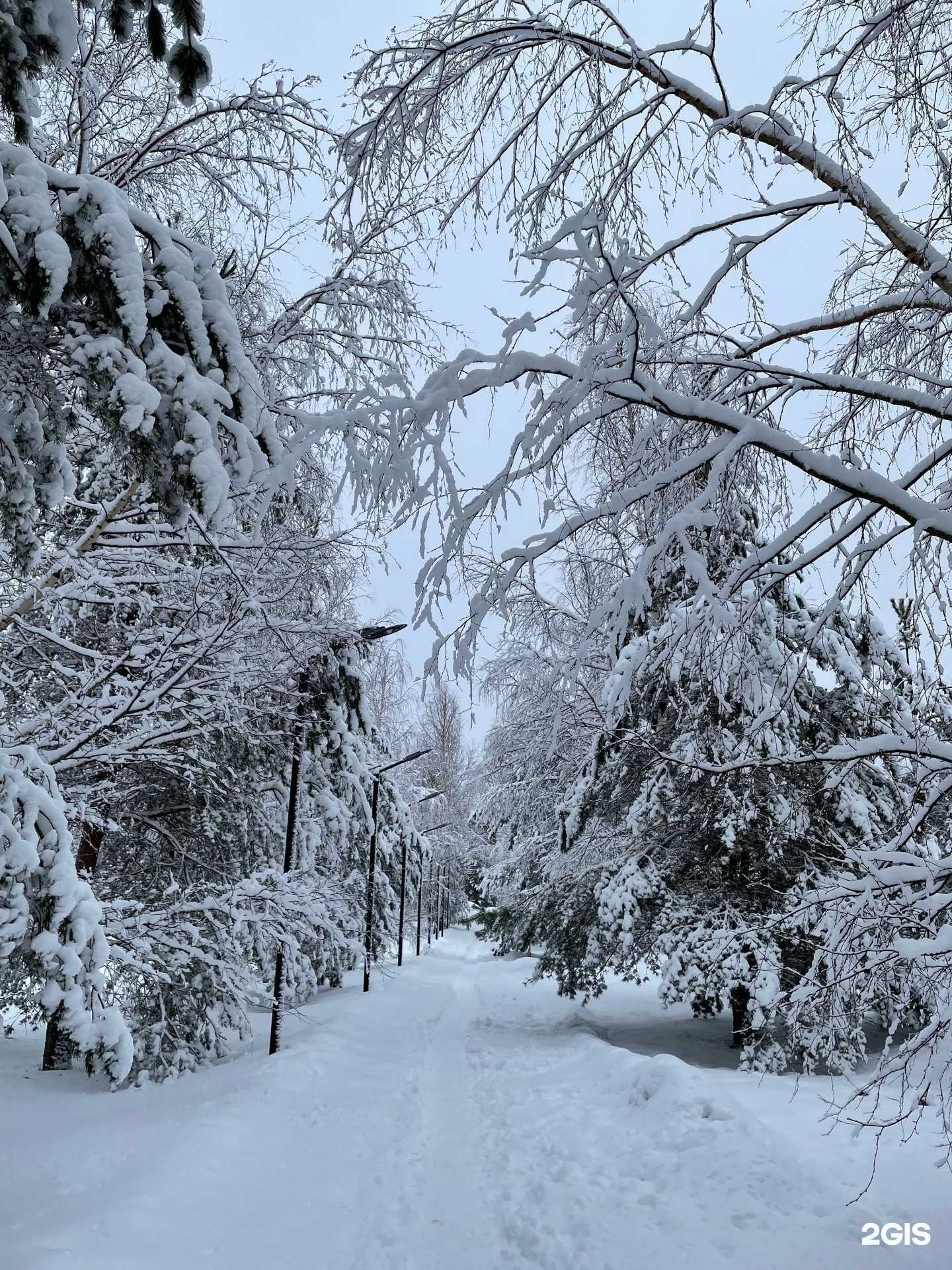 Токсовская межрайонная больница, Служба здоровья, Буланова, 18, городской  пос. Токсово — 2ГИС