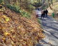 Музей-заповедник «Архангельское»: отзыв от Юлия :)