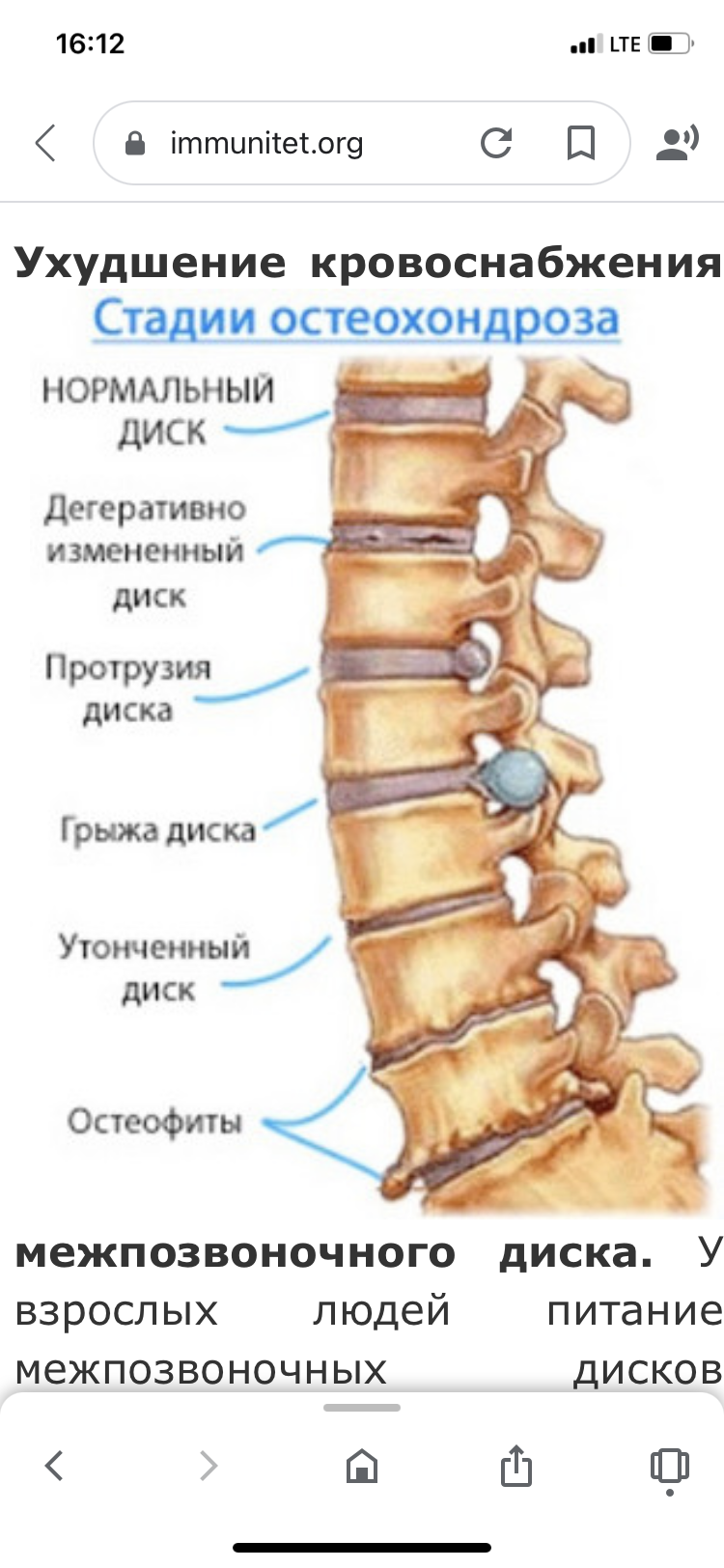 Ортэк, физкультурно-оздоровительный центр, бульвар Победы, 8а, Дзержинск —  2ГИС