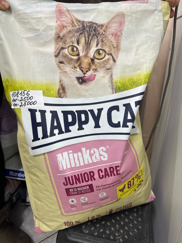 Ауылдағы мас әйелді сиқыйды