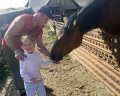 Весёлое подворье: отзыв от Оксана Елисеева