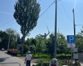 Сталинград: отзыв от Сергей Ларин