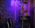 Пекинский Дворик: отзыв от Елена Юхина