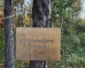 Эхо леса: отзыв от Анастасия Мухина
