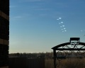 Лаванда: отзыв от Гульназка Риханова