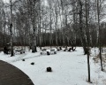 White Wood: отзыв от Ольга Тушакова