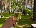 Nature village: отзыв от Евгения Хайруллина