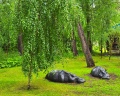 Русская охота: отзыв от Городской житель