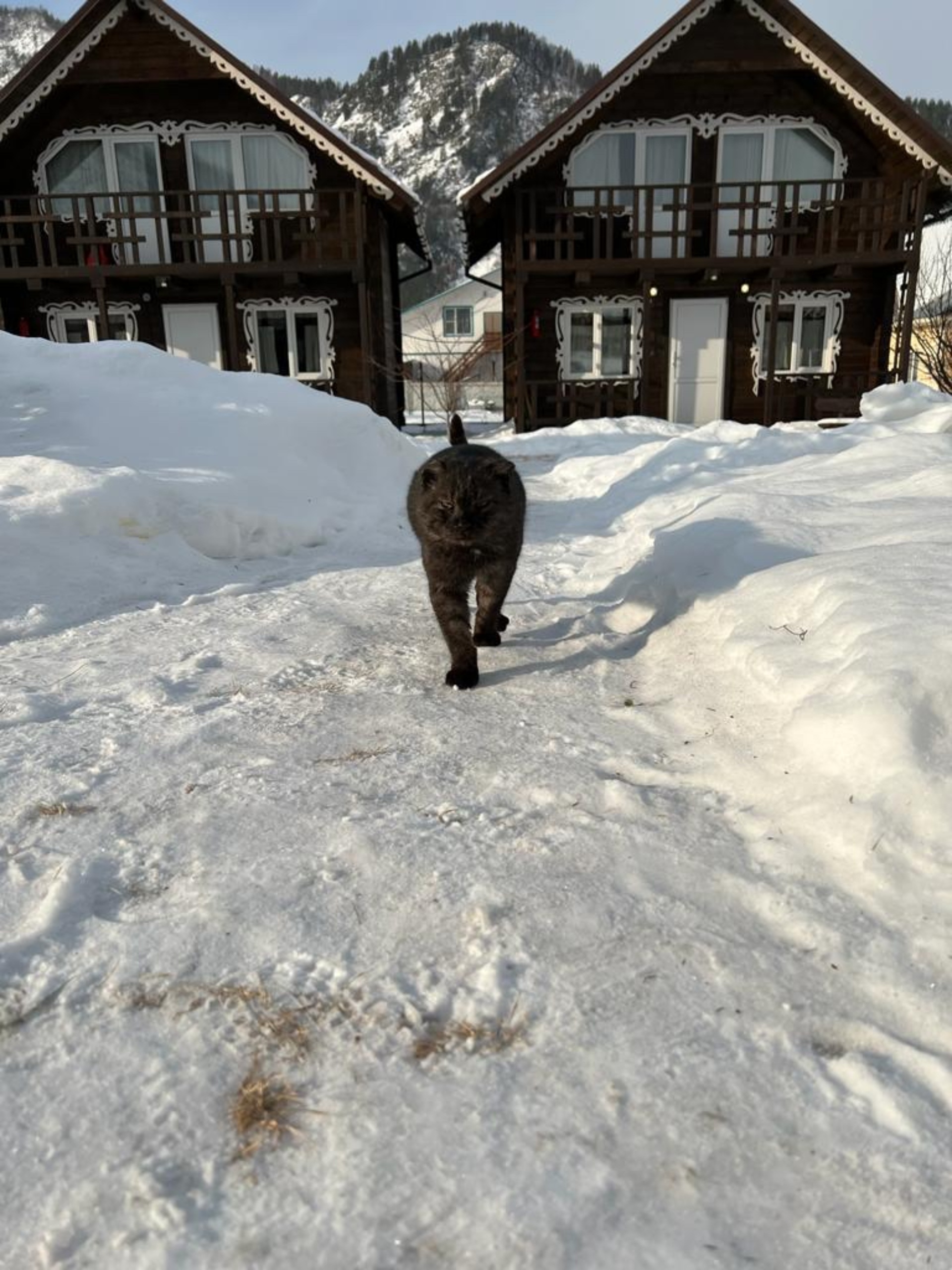 Терем-Теремок, усадьба, Крестовая, 23, с. Чемал — 2ГИС