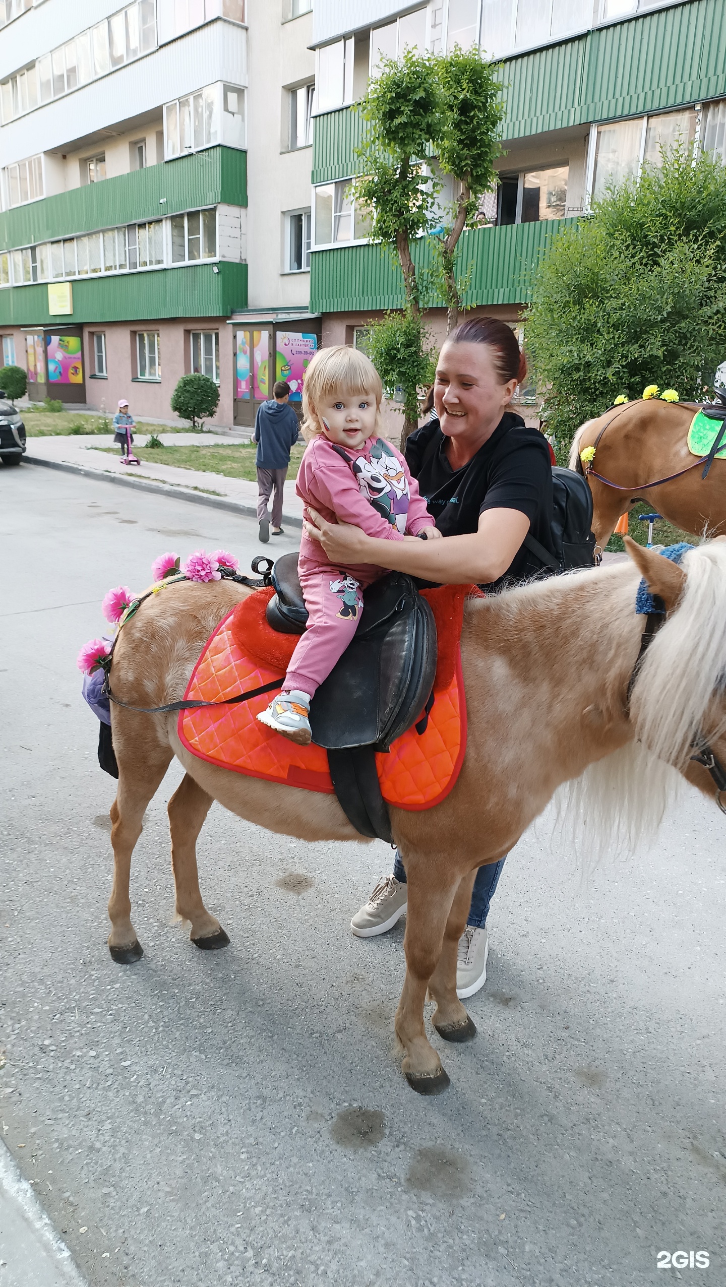 Старт, молодежный центр, улица Выборная, 99/4, Новосибирск — 2ГИС