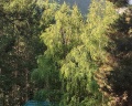 Skazka Lodge: отзыв от Юлия Шаповалова