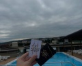 Alion: отзыв от Екатерина Сочинская