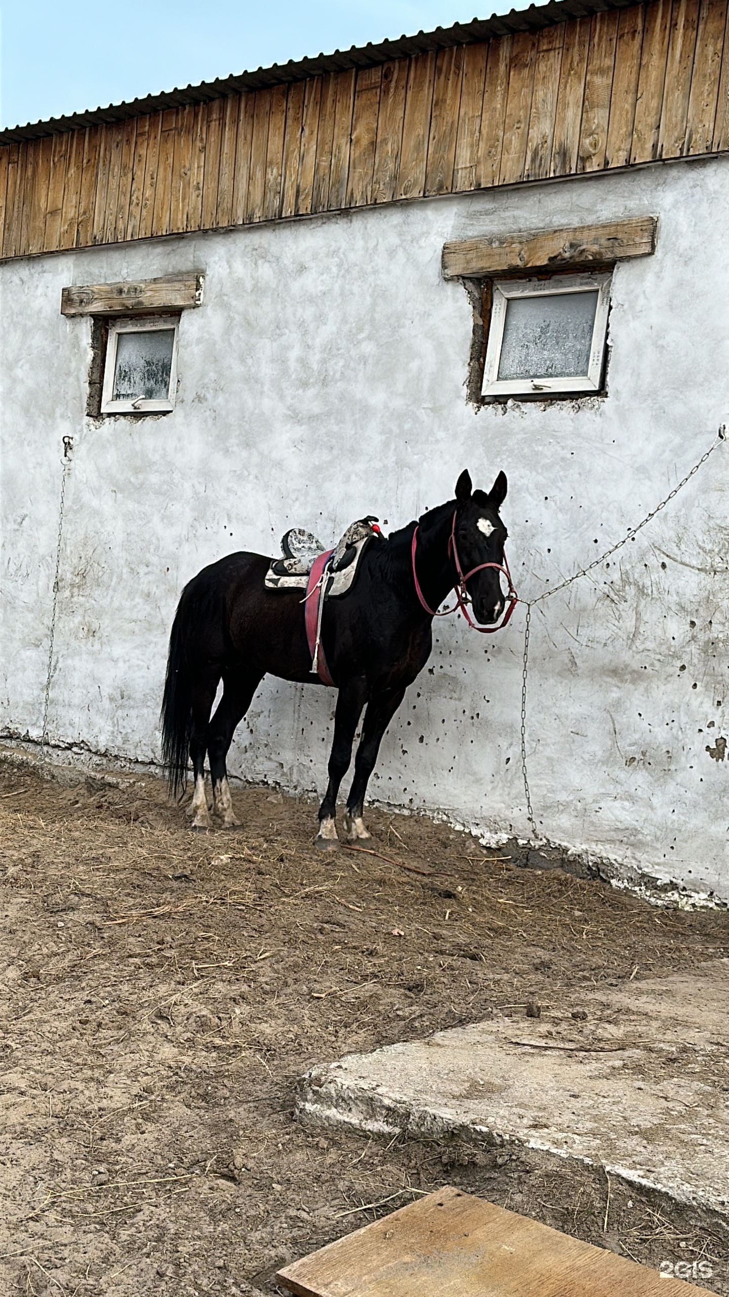 Konyushnya_semey, конный клуб, улица Горный заезд, 5/3, Семей — 2ГИС