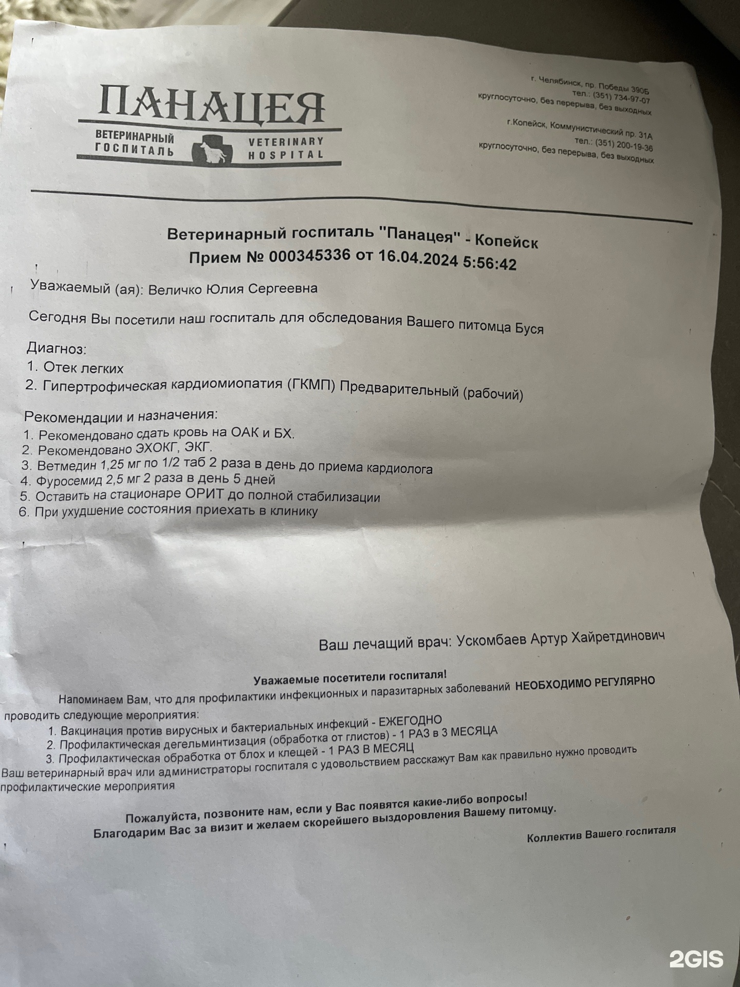 Панацея, ветеринарный центр, Коммунистический проспект, 31а, Копейск — 2ГИС