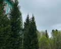 Лагуна: отзыв от Оксана Плотникова