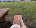 Золотые пески: отзыв от Юлия Ерофеева