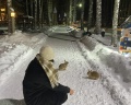 Романов Лес: отзыв от Мария Черноусова