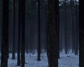 Mystic Hills: отзыв от Елизавета Яранова