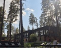 Хвоя в горах: отзыв от Екатерина Суворина