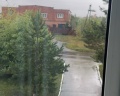Арга: отзыв от Елена Романова
