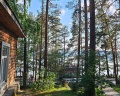 Золотой пляж: отзыв от Елена Миляева