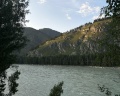 Altai ForRest: отзыв от Юлия Вострикова